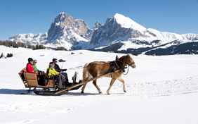  - Foto: Helmuth Rier